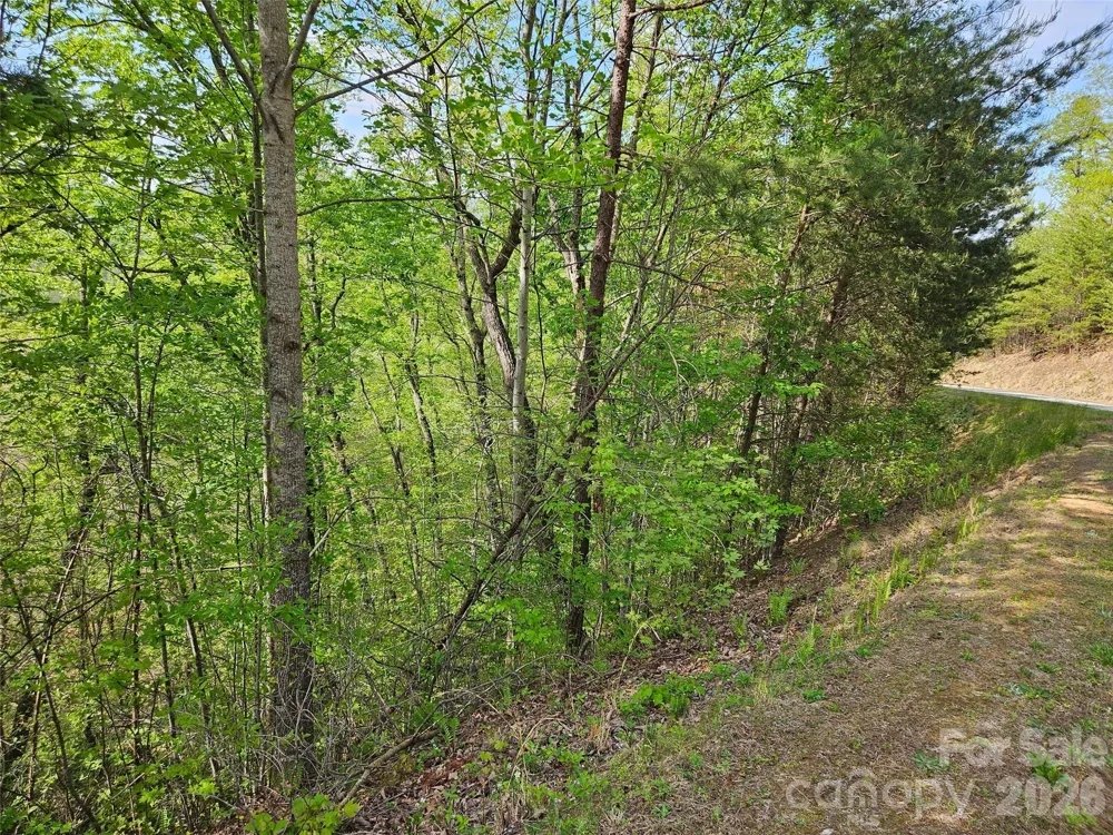 0 High Pines Loop #101 Lake Lure, NC 28746