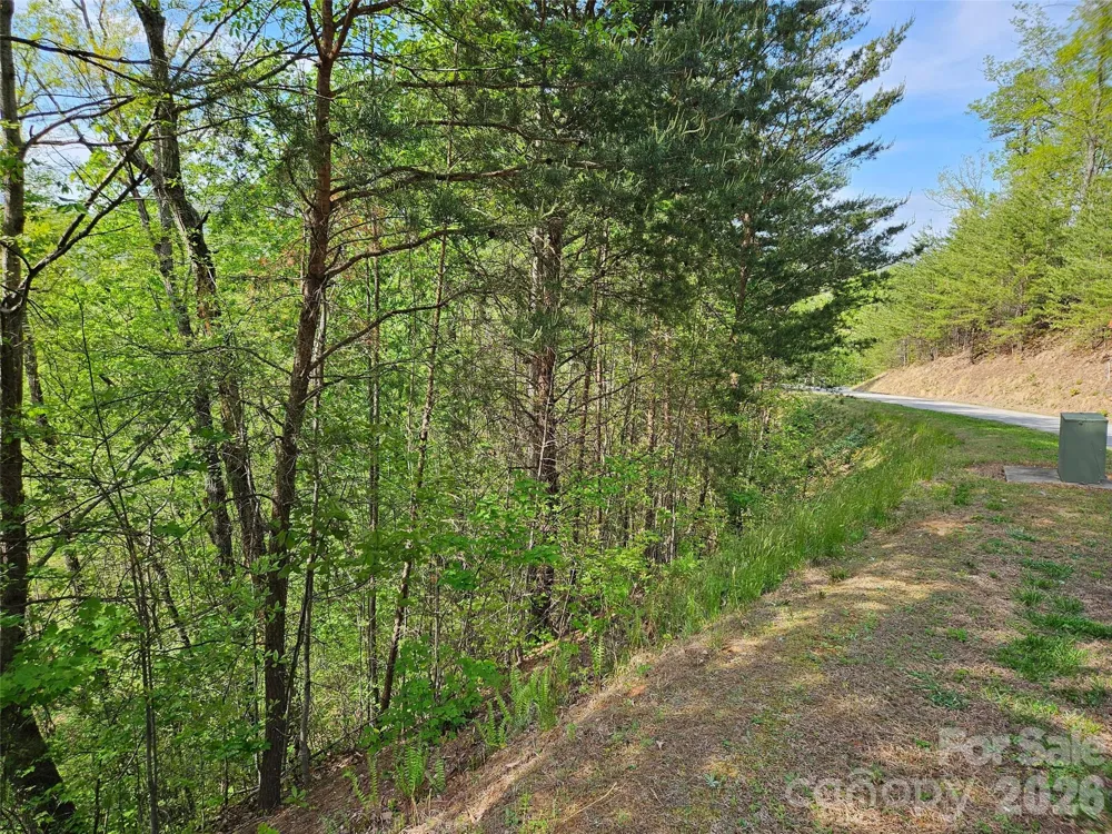 0 High Pines Loop #101 Lake Lure, NC 28746