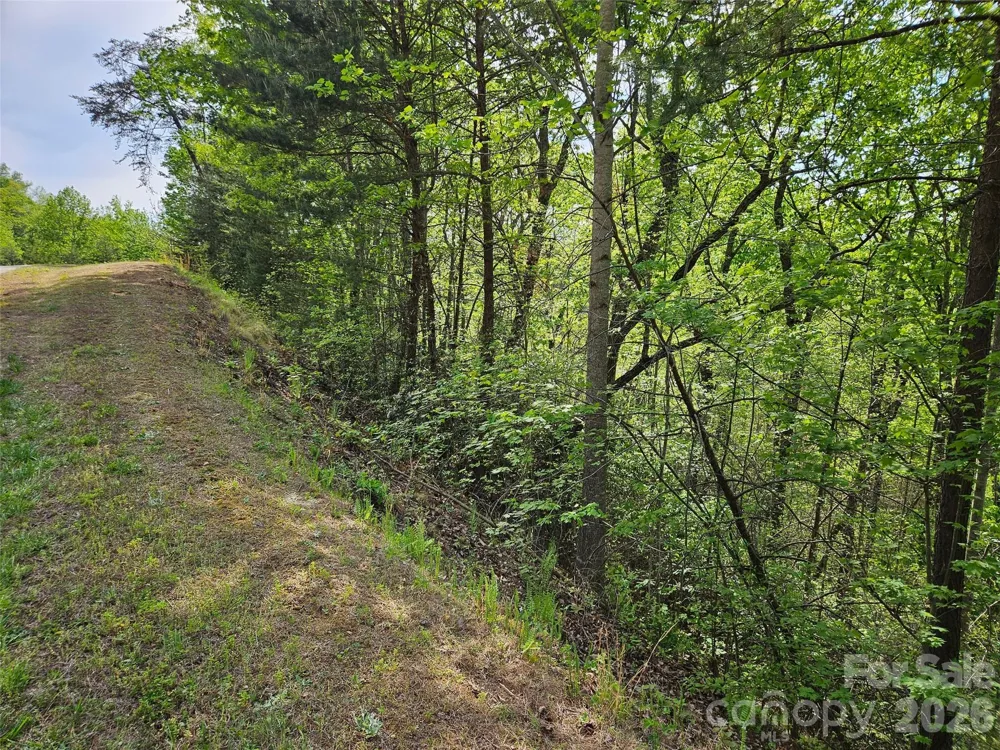 0 High Pines Loop #101 Lake Lure, NC 28746