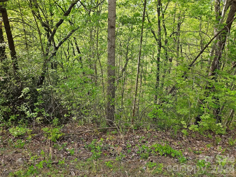 0 High Pines Loop #101 Lake Lure, NC 28746