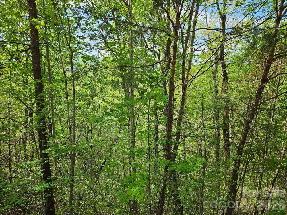 0 High Pines Loop #101 Lake Lure, NC 28746