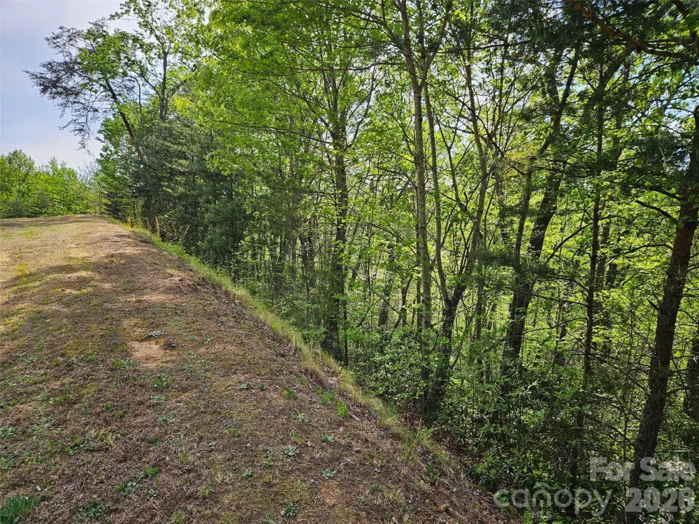 0 High Pines Loop #101 Lake Lure, NC 28746