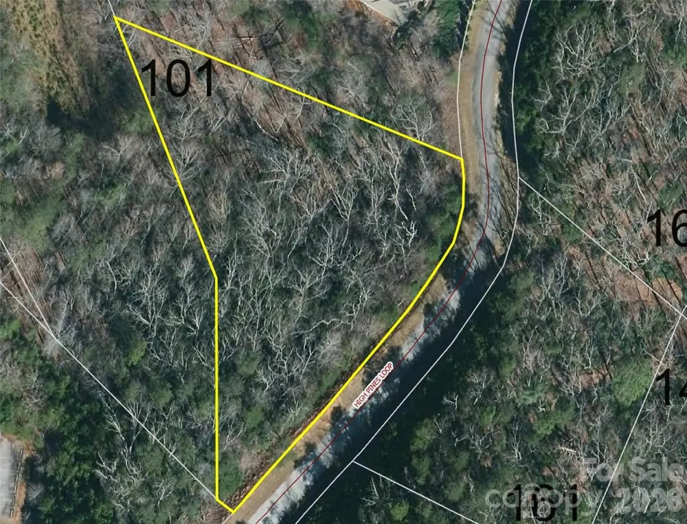 0 High Pines Loop #101 Lake Lure, NC 28746