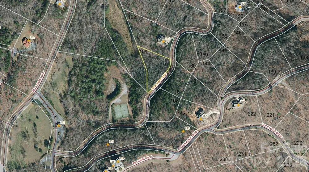 0 High Pines Loop #101 Lake Lure, NC 28746