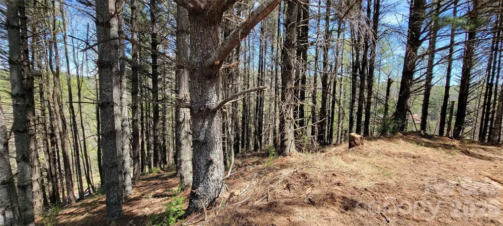 TBD (Lots 25/26/27) Miriam Way Piney Creek, NC 28663