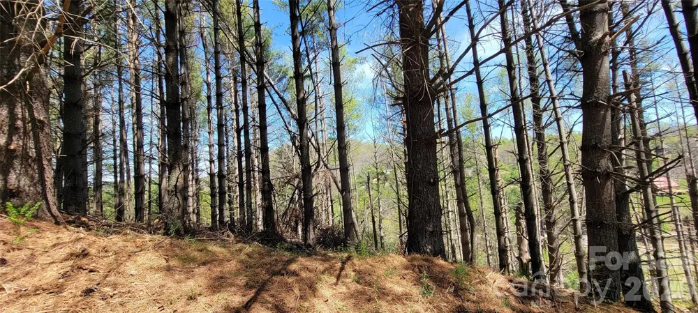 TBD (Lots 25/26/27) Miriam Way Piney Creek, NC 28663