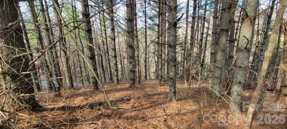 TBD (Lots 25/26/27) Miriam Way Piney Creek, NC 28663