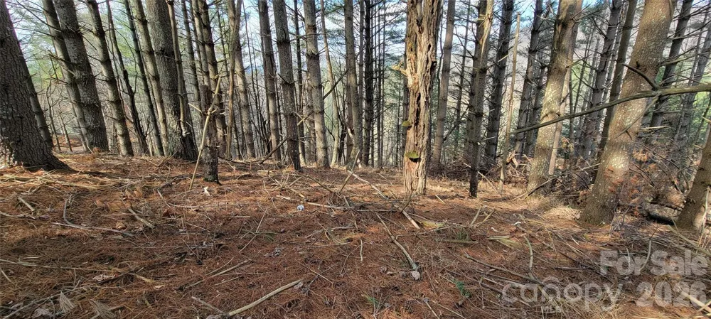 TBD (Lots 25/26/27) Miriam Way Piney Creek, NC 28663