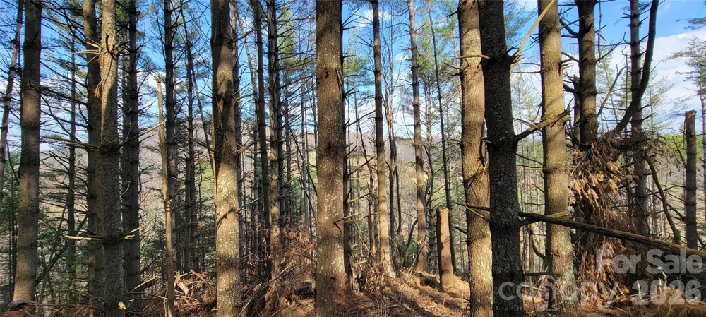 TBD (Lots 25/26/27) Miriam Way Piney Creek, NC 28663