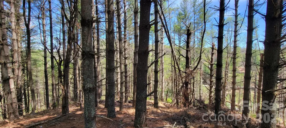 TBD (Lots 25/26/27) Miriam Way Piney Creek, NC 28663