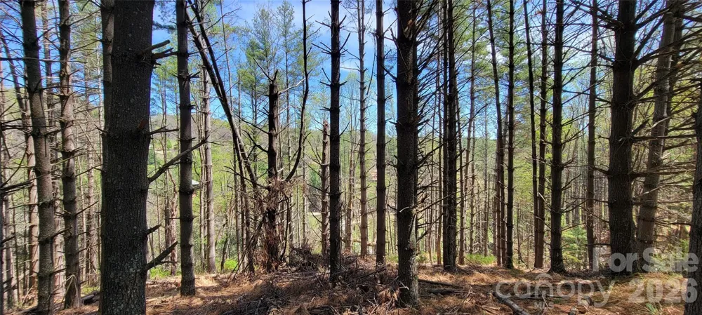 TBD (Lots 25/26/27) Miriam Way Piney Creek, NC 28663