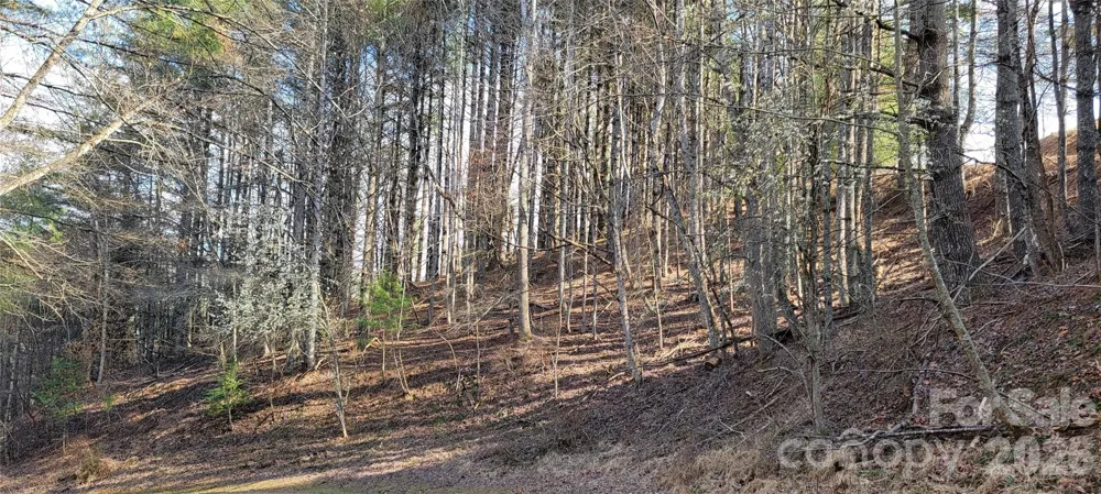 TBD (Lots 25/26/27) Miriam Way Piney Creek, NC 28663