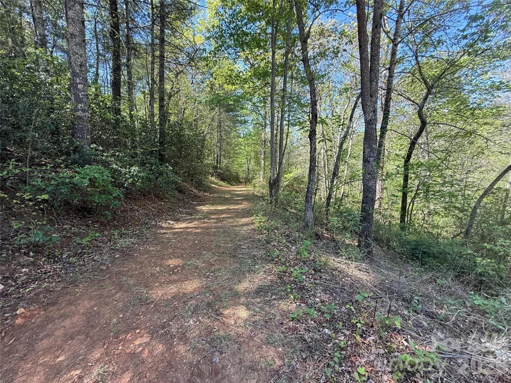 266 Mountain Creek Way Marion, NC 28752