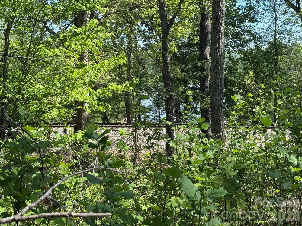 266 Mountain Creek Way Marion, NC 28752