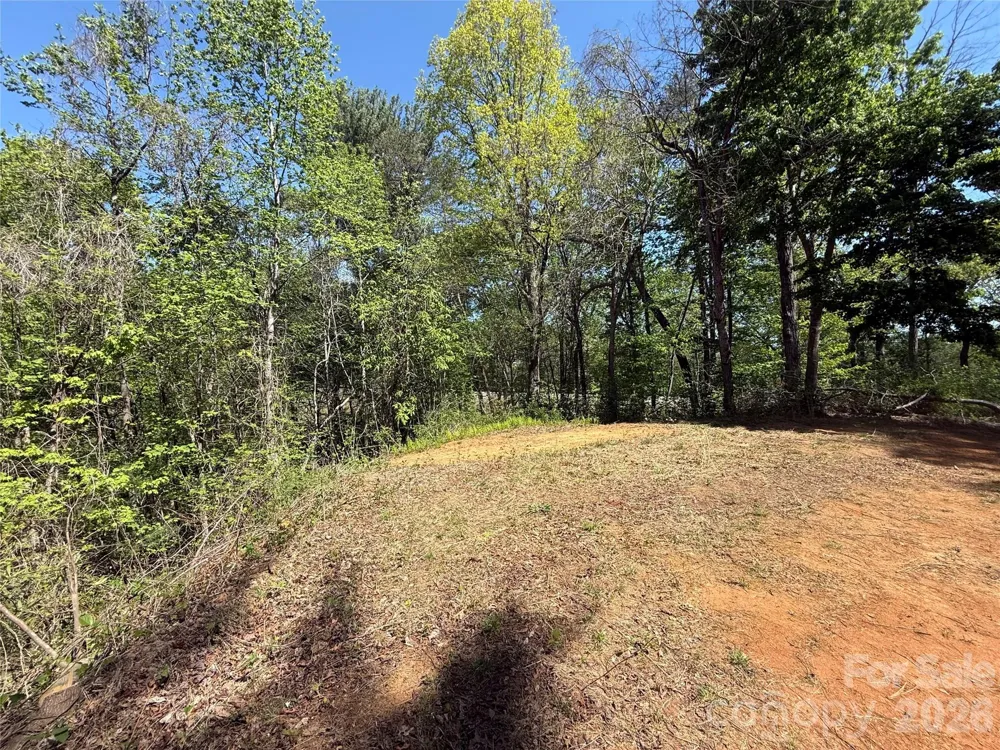266 Mountain Creek Way Marion, NC 28752