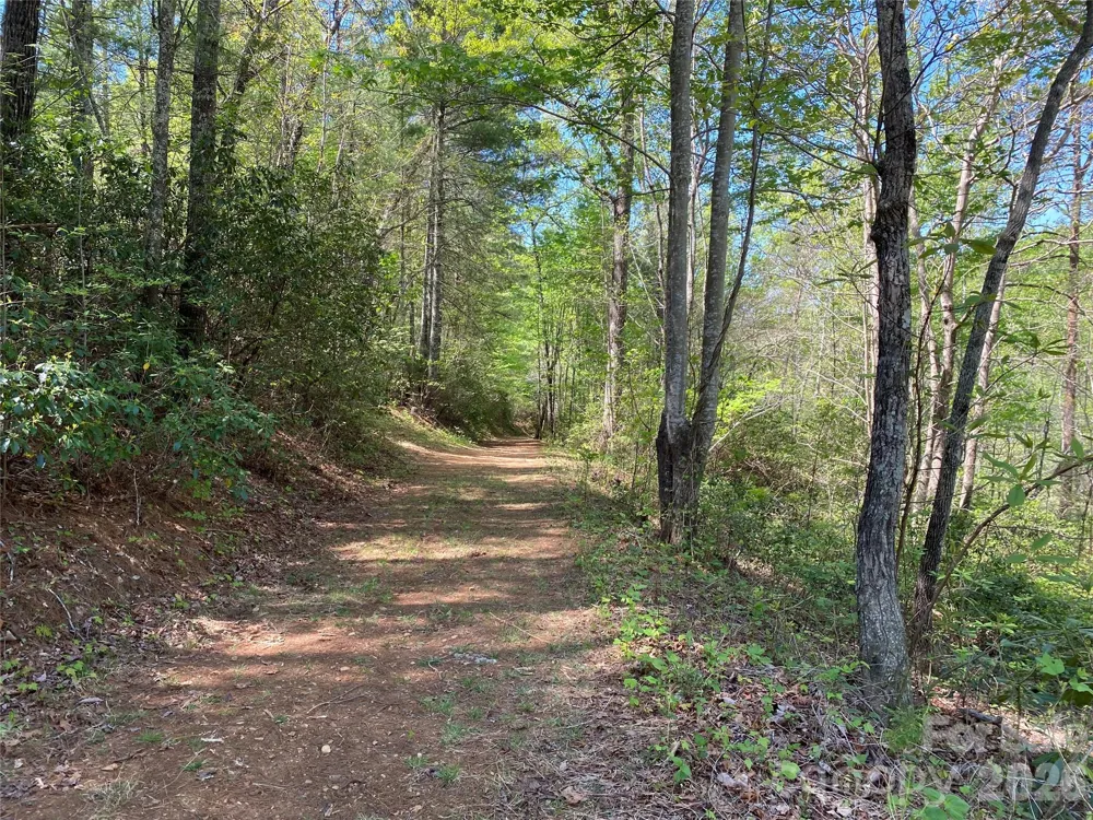 266 Mountain Creek Way Marion, NC 28752