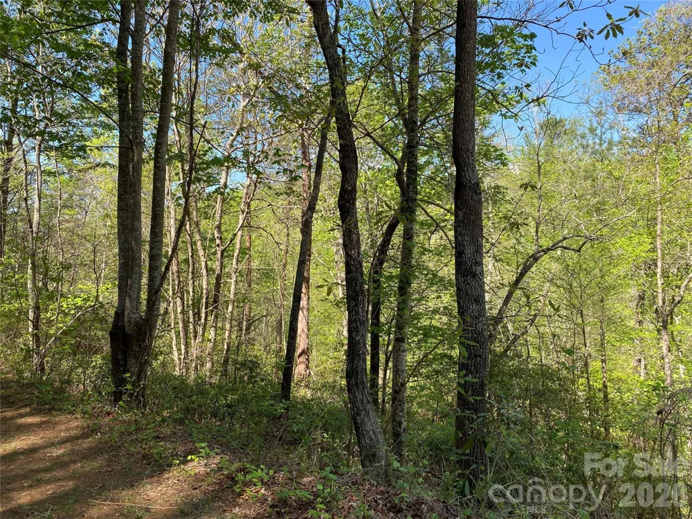 266 Mountain Creek Way Marion, NC 28752
