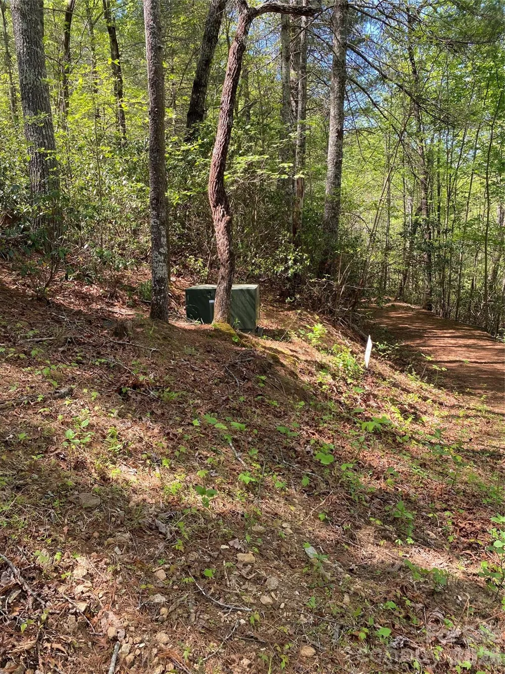 266 Mountain Creek Way Marion, NC 28752
