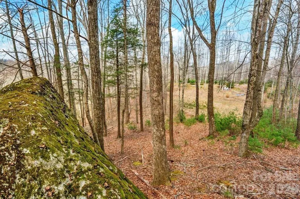 tbd Denney Wood Road Sugar Grove, NC 28679