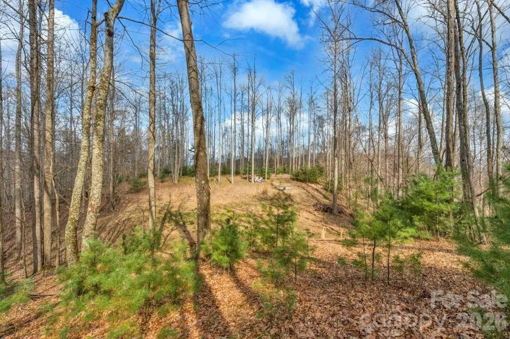 tbd Denney Wood Road Sugar Grove, NC 28679