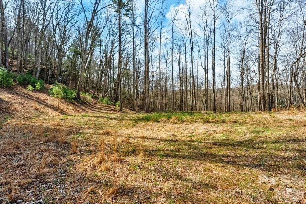 tbd Denney Wood Road Sugar Grove, NC 28679