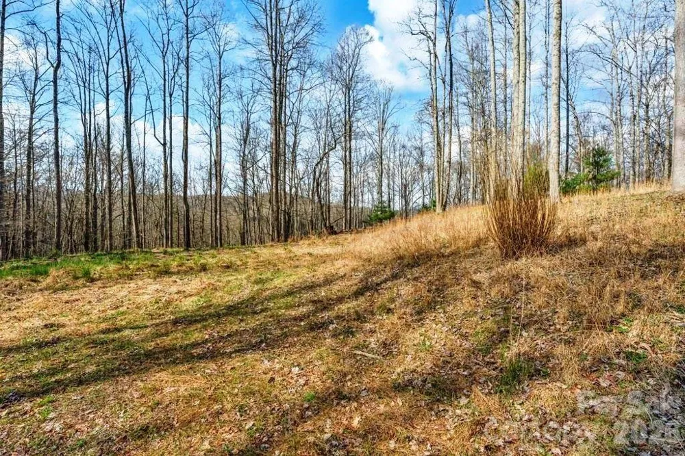 tbd Denney Wood Road Sugar Grove, NC 28679