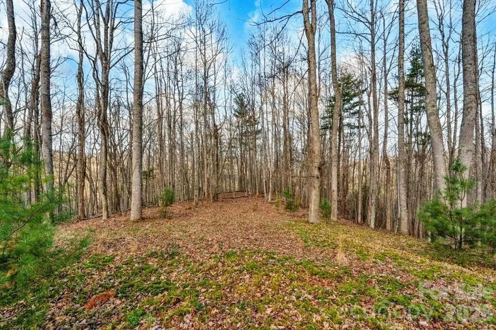 tbd Denney Wood Road Sugar Grove, NC 28679