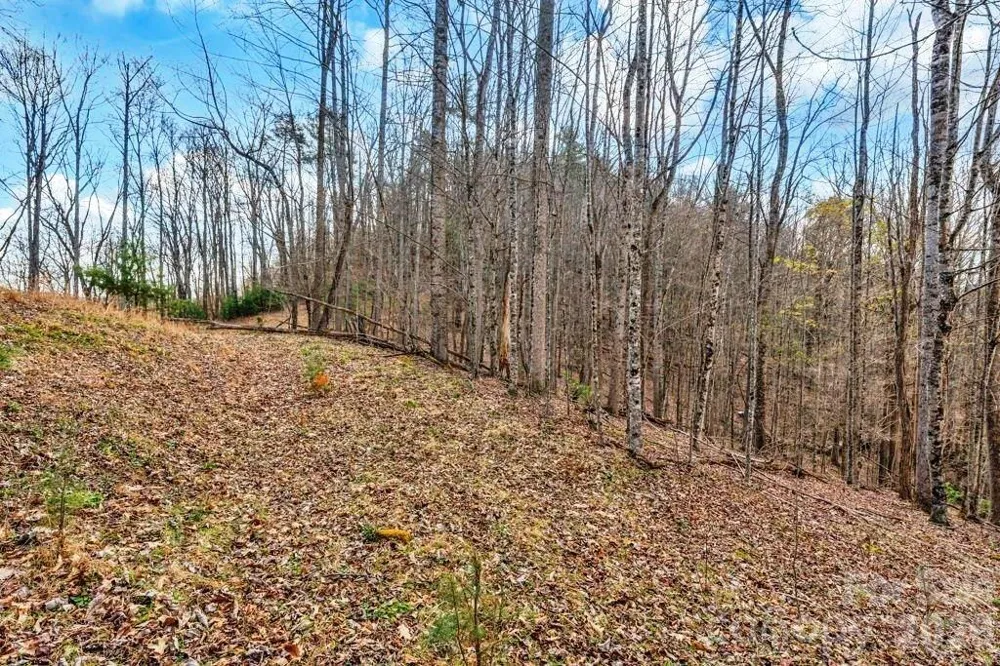 tbd Denney Wood Road Sugar Grove, NC 28679