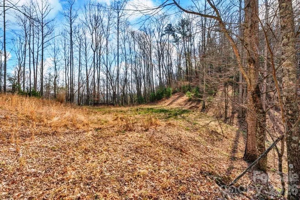 tbd Denney Wood Road Sugar Grove, NC 28679