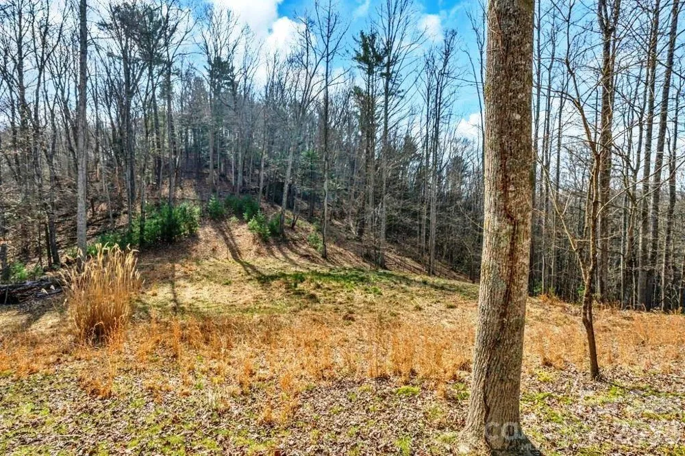 tbd Denney Wood Road Sugar Grove, NC 28679