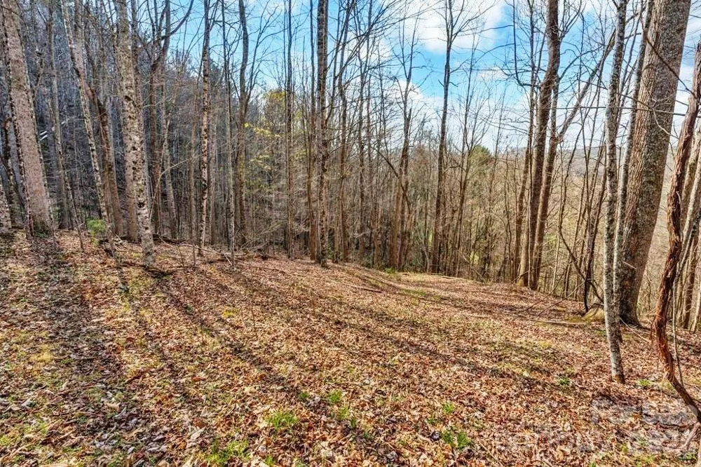 tbd Denney Wood Road Sugar Grove, NC 28679