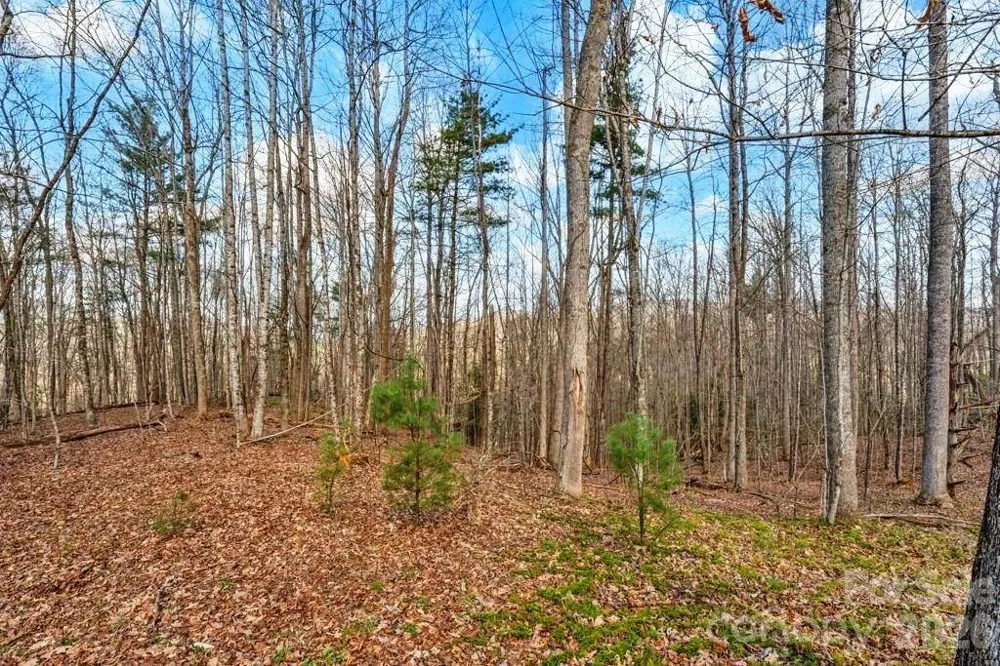 tbd Denney Wood Road Sugar Grove, NC 28679