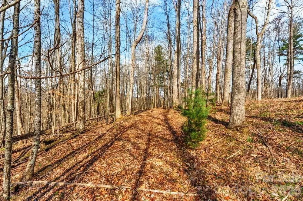 tbd Denney Wood Road Sugar Grove, NC 28679