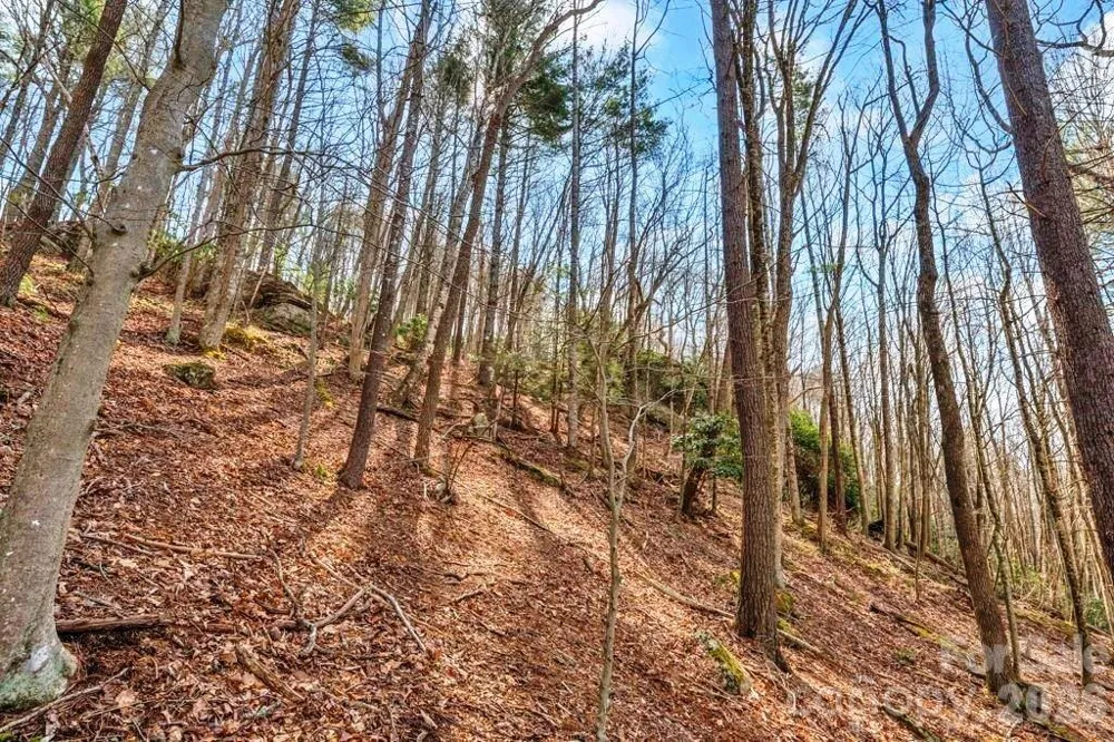 tbd Denney Wood Road Sugar Grove, NC 28679