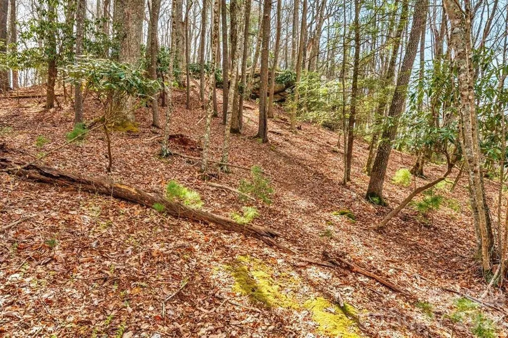 tbd Denney Wood Road Sugar Grove, NC 28679