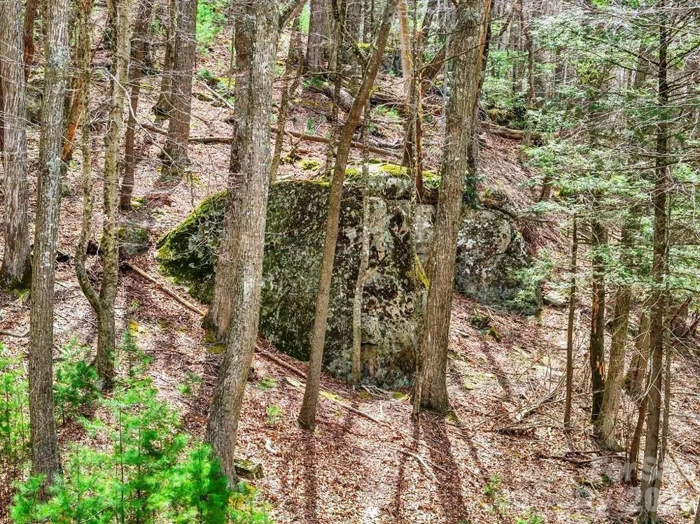 tbd Denney Wood Road Sugar Grove, NC 28679