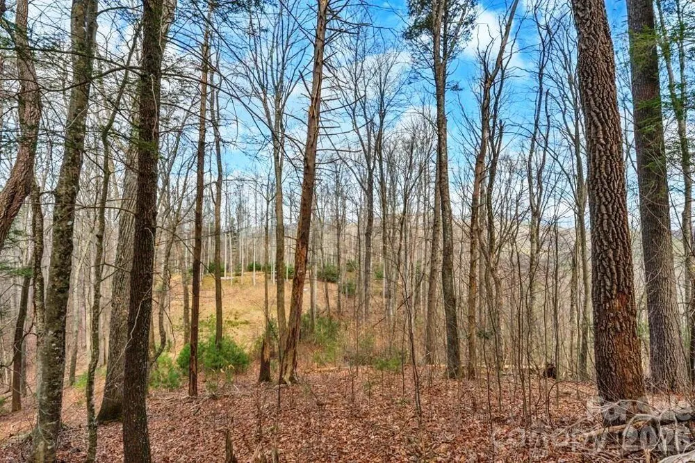 tbd Denney Wood Road Sugar Grove, NC 28679