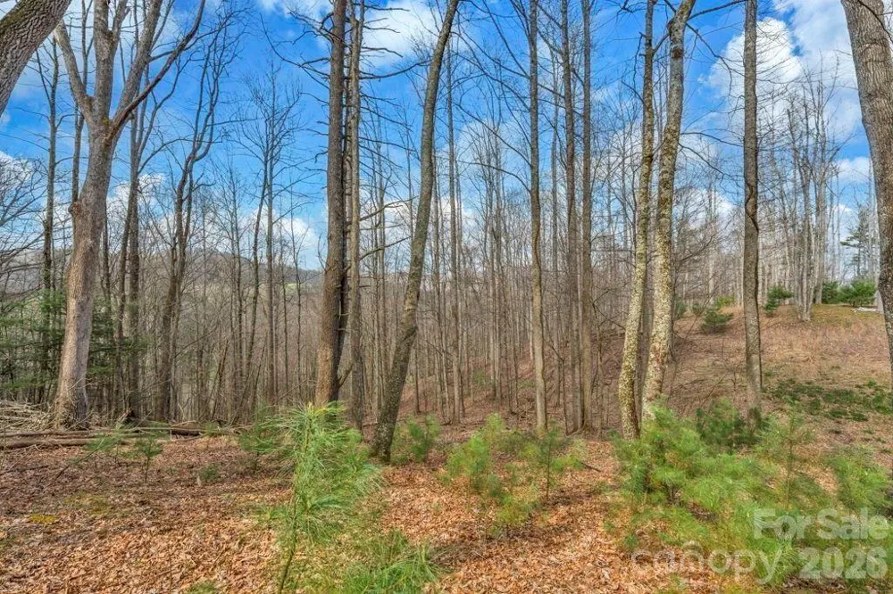 tbd Denney Wood Road Sugar Grove, NC 28679