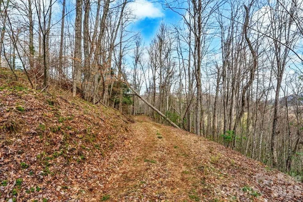 tbd Denney Wood Road Sugar Grove, NC 28679