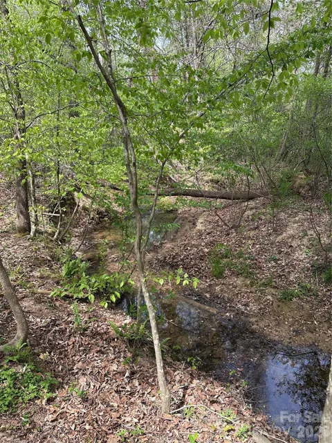 0 Will Boone Road