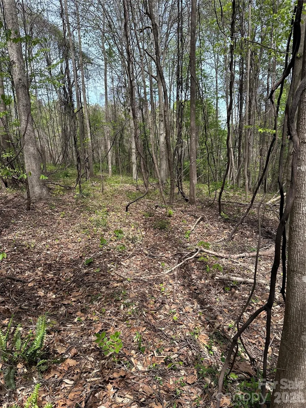0 Will Boone Road Mocksville, NC 27028