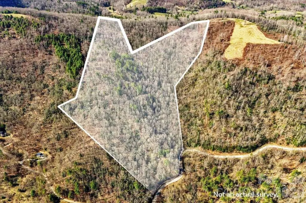 tbd Rominger Road Sugar Grove, NC 28679