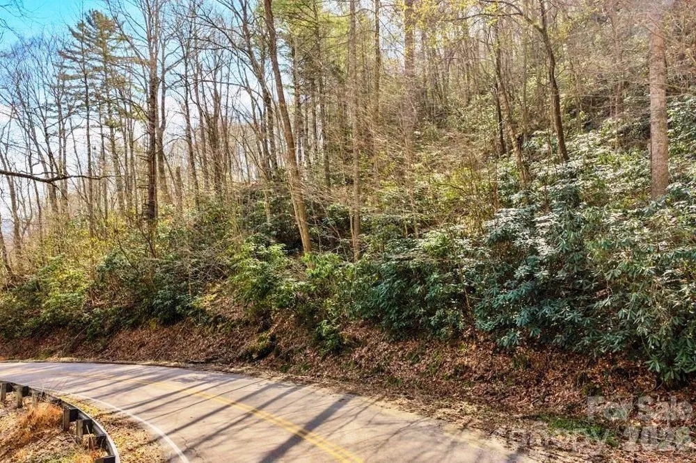 tbd Rominger Road Sugar Grove, NC 28679