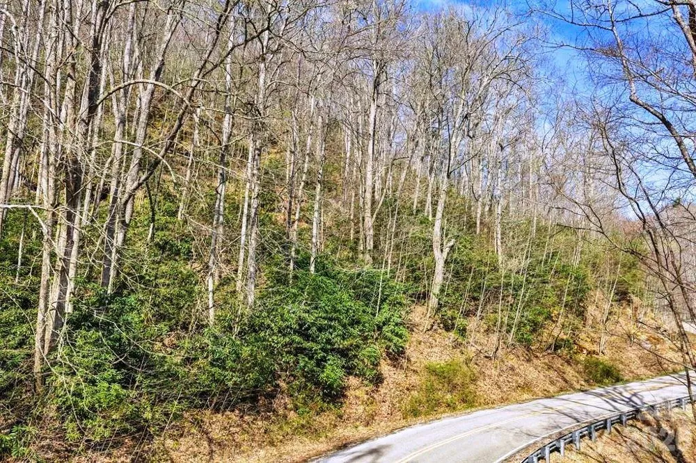 tbd Rominger Road Sugar Grove, NC 28679