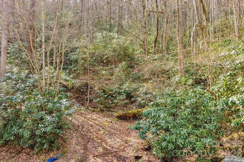 tbd Rominger Road Sugar Grove, NC 28679