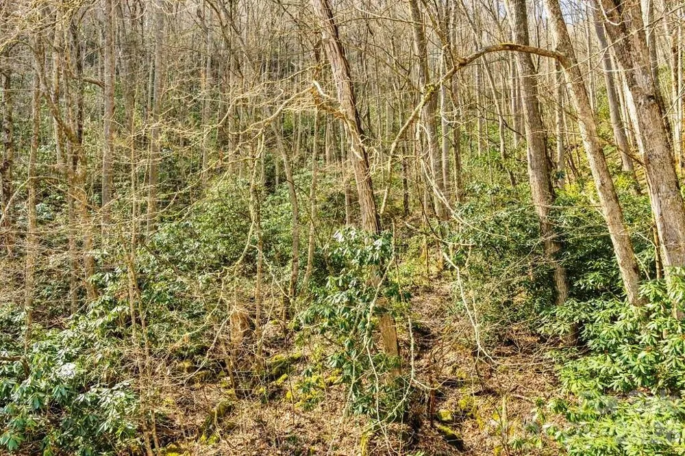 tbd Rominger Road Sugar Grove, NC 28679