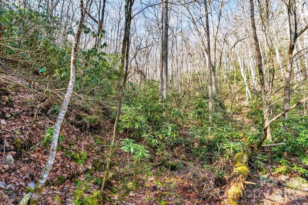 tbd Rominger Road Sugar Grove, NC 28679