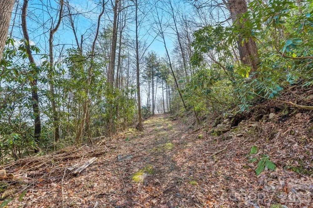 tbd Rominger Road Sugar Grove, NC 28679