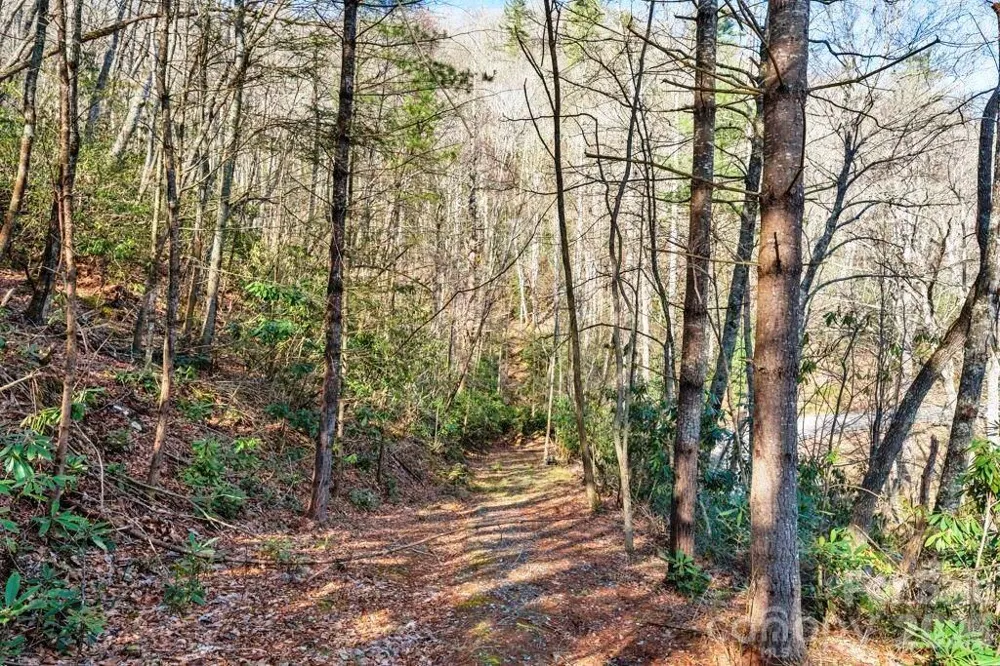 tbd Rominger Road Sugar Grove, NC 28679