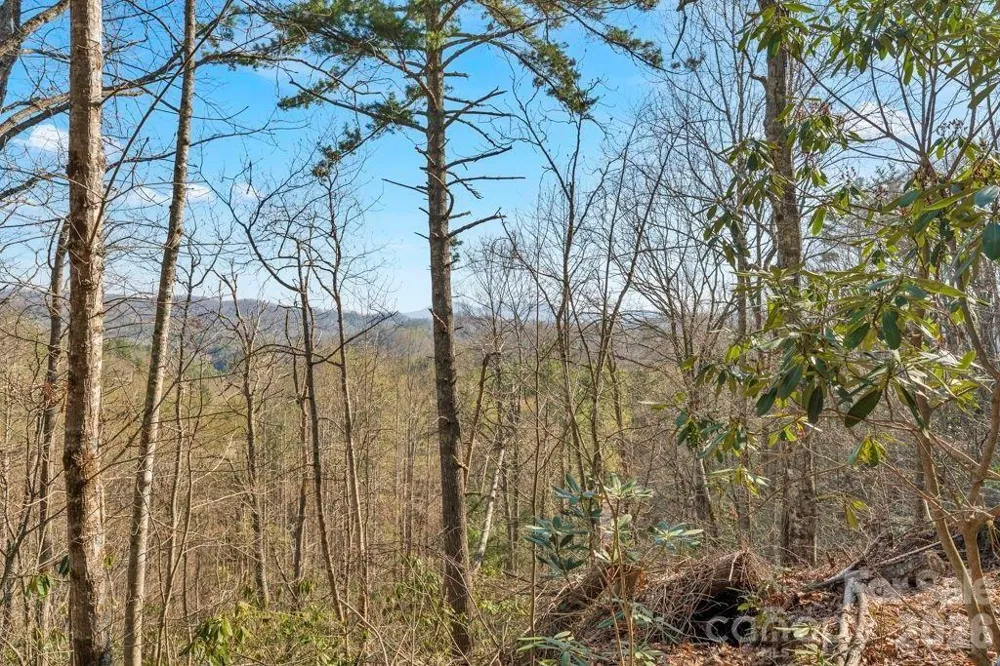 tbd Rominger Road Sugar Grove, NC 28679